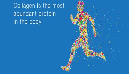 Collagen-type-2-1.jpg