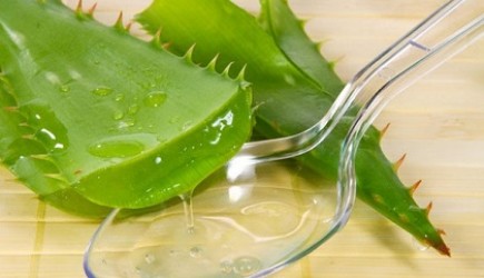nha-dam-bi-quyet-lam-dep-cho-da-toc-lai-co-ich-cho-suc-khoe-phan-cuoi3.jpg