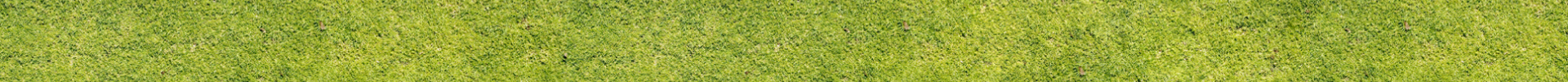 background-pc-01