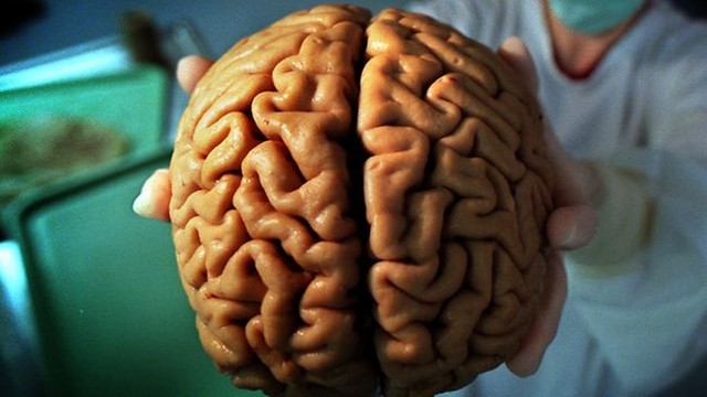 Giấc ngủ khoa học giúp não kích thích tiết hormone tăng trưởng