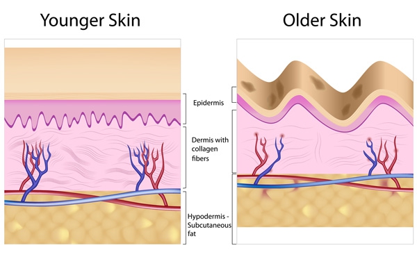 Cách dùng collagen hiệu quả bạn cần biết