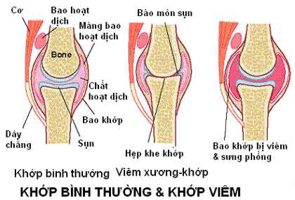 Công dụng của collagen