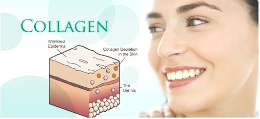 Công dụng của collagen là gì?