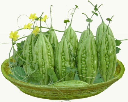 Khổ Qua – nguồn cung cấp vitamin C dồi dào hỗ trợ đắc lực cho quá trình tổng hợp collagen. 