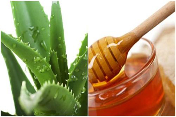 Kết hợp nha đam với mật ong làm đẹp da