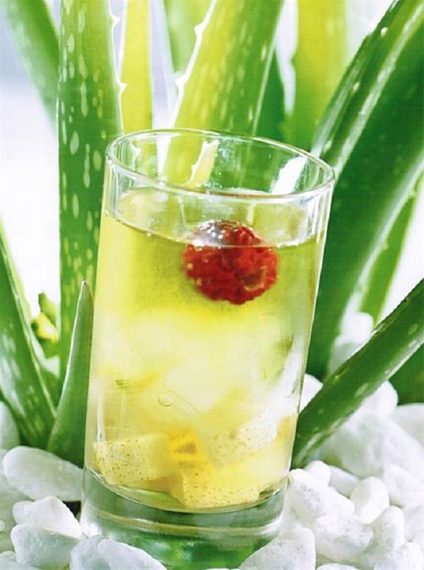 Thức uống từ Nha Đam còn có tác dụng hỗ trợ đắc lực cho mọi hoạt động của hệ tiêu hóa.