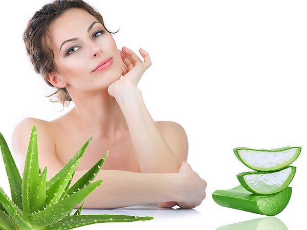 Nha Đam còn được gọi với cái tên là “Cây của sự bất tử”, nhờ vào những công dụng tuyệt vời của nó.