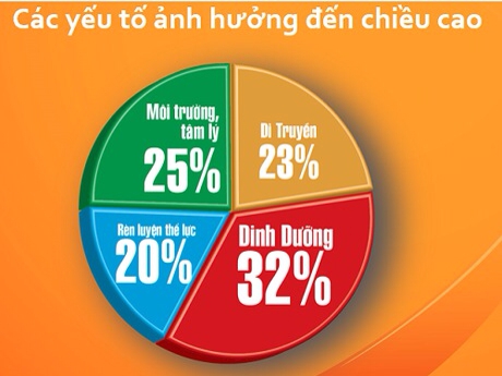 Những yếu tố ảnh hưởng đến chiều cao