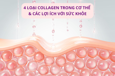 4 loại collagen trong cơ thể & các lợi ích với sức khỏe 4 loại collagen trong cơ thể & các lợi ích với sức khỏe