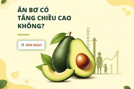 Ăn bơ có tăng chiều cao không? Ăn bơ có tăng chiều cao không?