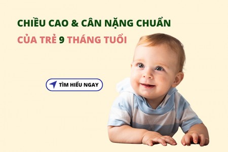 Chiều cao cân nặng chuẩn của trẻ 9 tháng tuổi