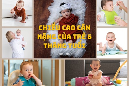Bảng chiều cao và cân nặng chuẩn của trẻ 6 tháng tuổi
