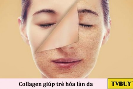 Collagen là gì? Lợi ích trẻ hóa da và nguồn bổ sung Collagen tự nhiên