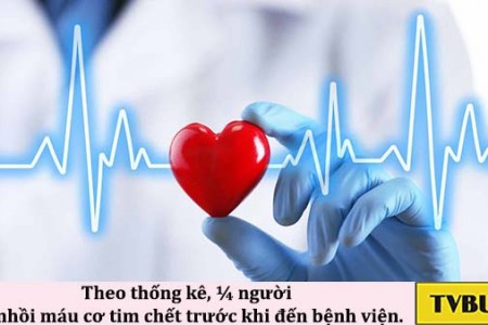 Làm sao để giảm mỡ máu và điều hòa Cholesterol?