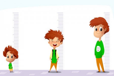 Vai trò của kẽm đối với sự phát triển chiều cao Vai trò của kẽm đối với sự phát triển chiều cao