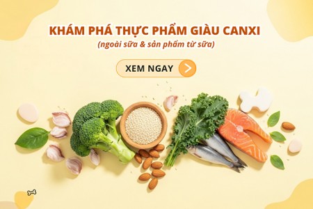 Không uống sữa thì nên ăn gì để nạp đủ Canxi?