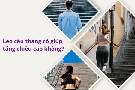 Leo cầu thang có giúp tăng chiều cao không?