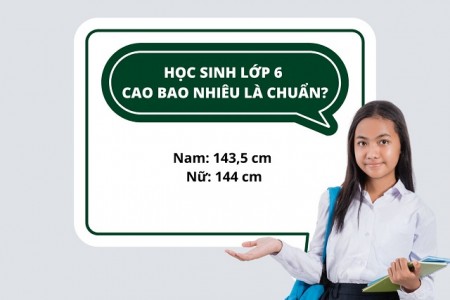 Học sinh lớp 6 cao bao nhiêu là chuẩn?