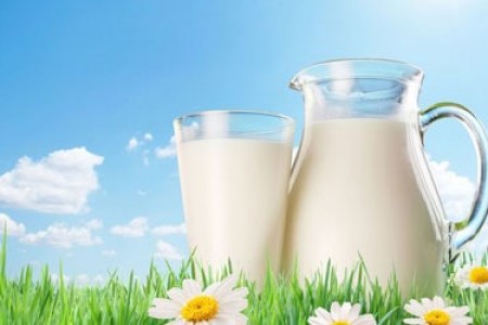 Không uống sữa thì nên ăn gì để nạp đủ canxi? Không uống sữa thì nên ăn gì để nạp đủ canxi?