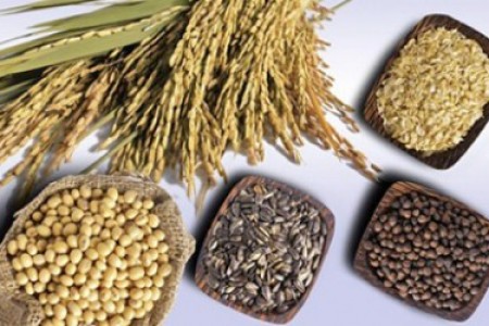 Những bí quyết chữa bệnh tiểu đường đơn giản