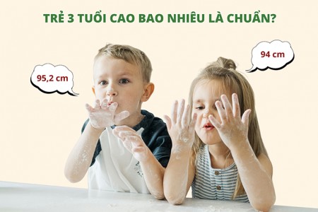 Trẻ 3 tuổi cao bao nhiêu là chuẩn? Trẻ 3 tuổi cao bao nhiêu là chuẩn?
