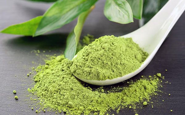 Top 10 cách trị mụn bằng bột trà xanh hiệu quả