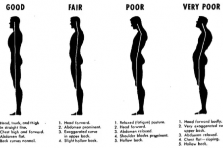 Các bước cần làm theo khi muốn tăng chiều cao ở tuổi 18 Các bước cần làm theo khi muốn tăng chiều cao ở tuổi 18