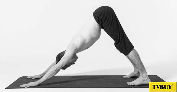 Bài tập yoga tư thế chó úp mặt