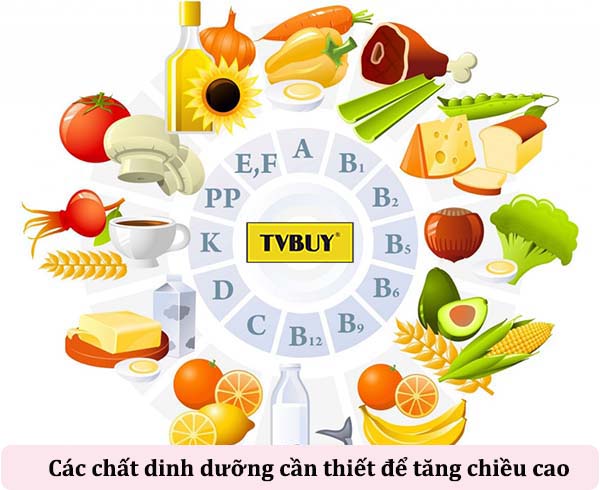 bổ sung chất dinh dưỡng phù hợp