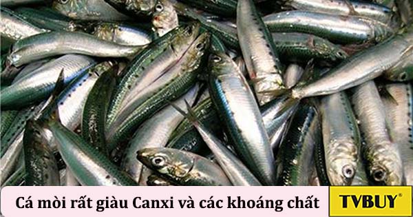 cá mòi