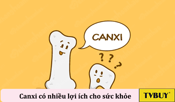 thực phẩm giàu canxi