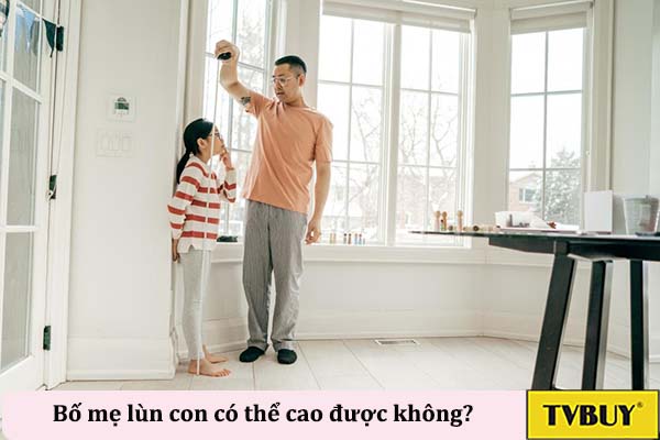 bố mẹ lùn con cao được không ?