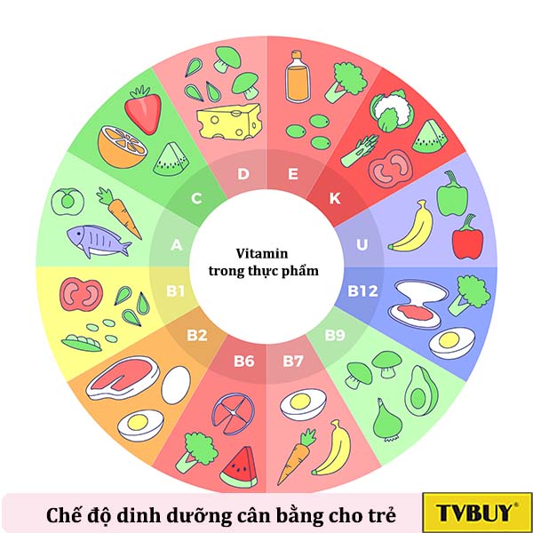 chế độ dinh dưỡng cân bằng