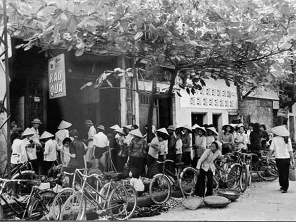chiều cao người việt tăng chậm