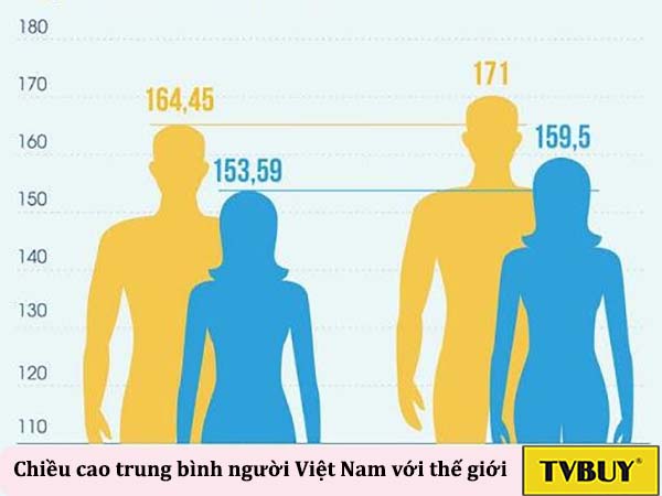 chiều cao trung bình của người việt nam so với thế giới