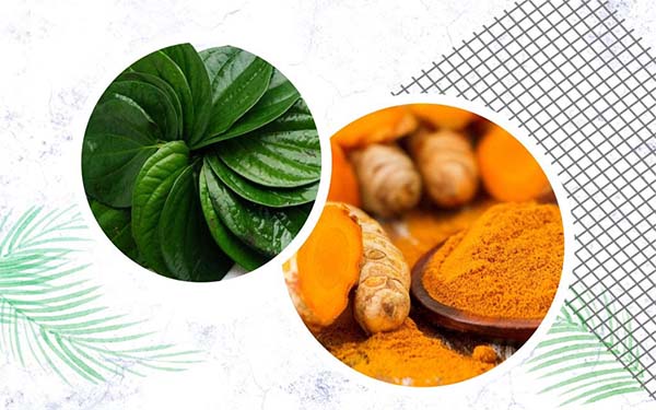 chữa nám da bằng nghệ và lá trầu không