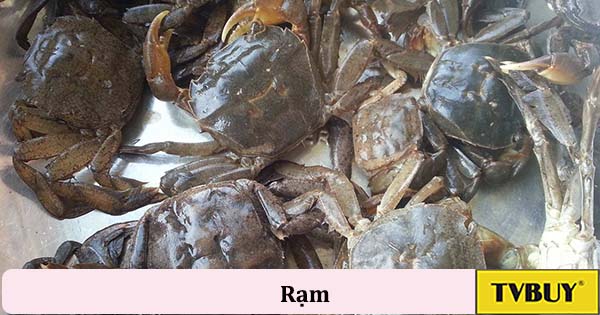 rạm