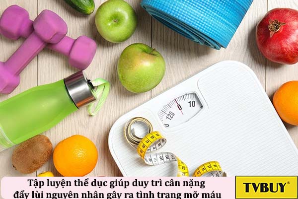 Tập luyện thể dục giúp duy trì cân nặng hợp lý và đẩy lùi các nguyên nhân gây ra tình trạng mỡ máu.