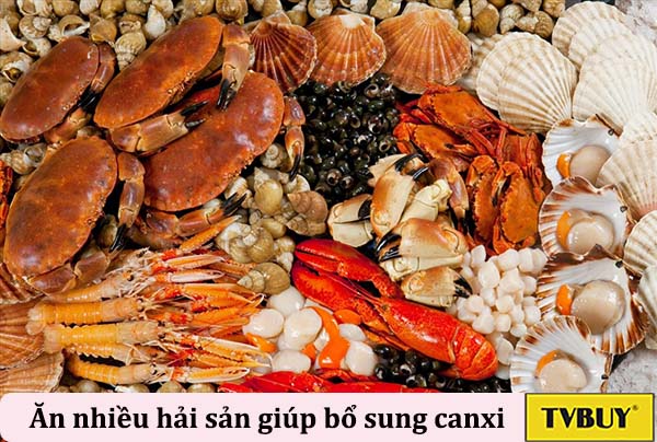 hải là cung cấp hàm lượng canxi dồi dào tốt cho xương