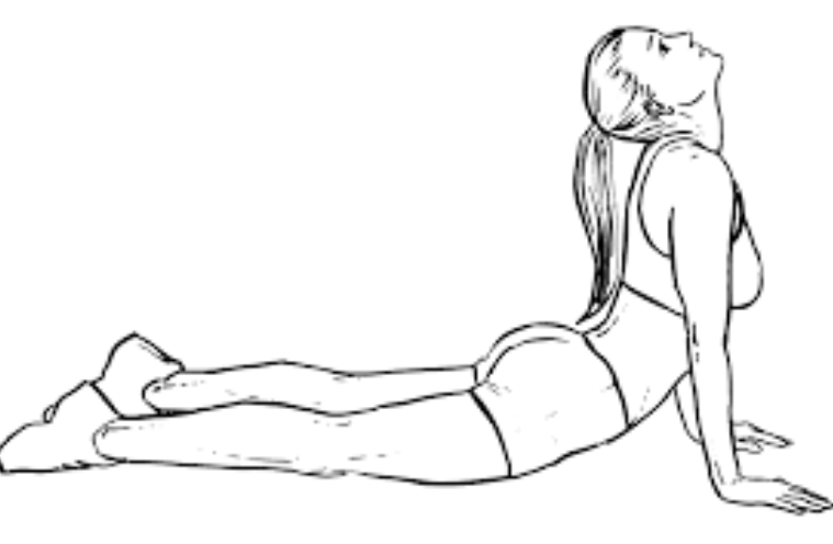 bài tập tăng chiều cao tư thế rắn hổ mang