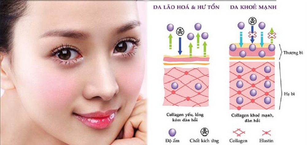 Thuốc collagen là gì? 01