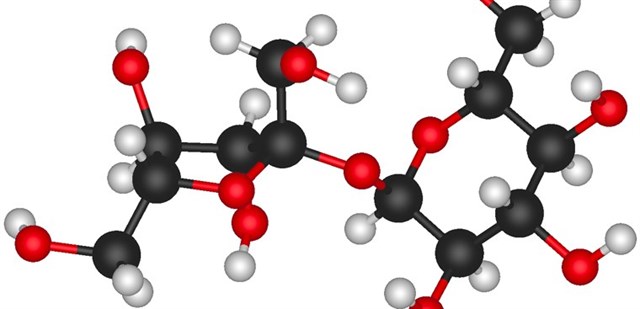 Chất đạm (protein) là một chất dinh dưỡng rất cần thiết cho cơ thể