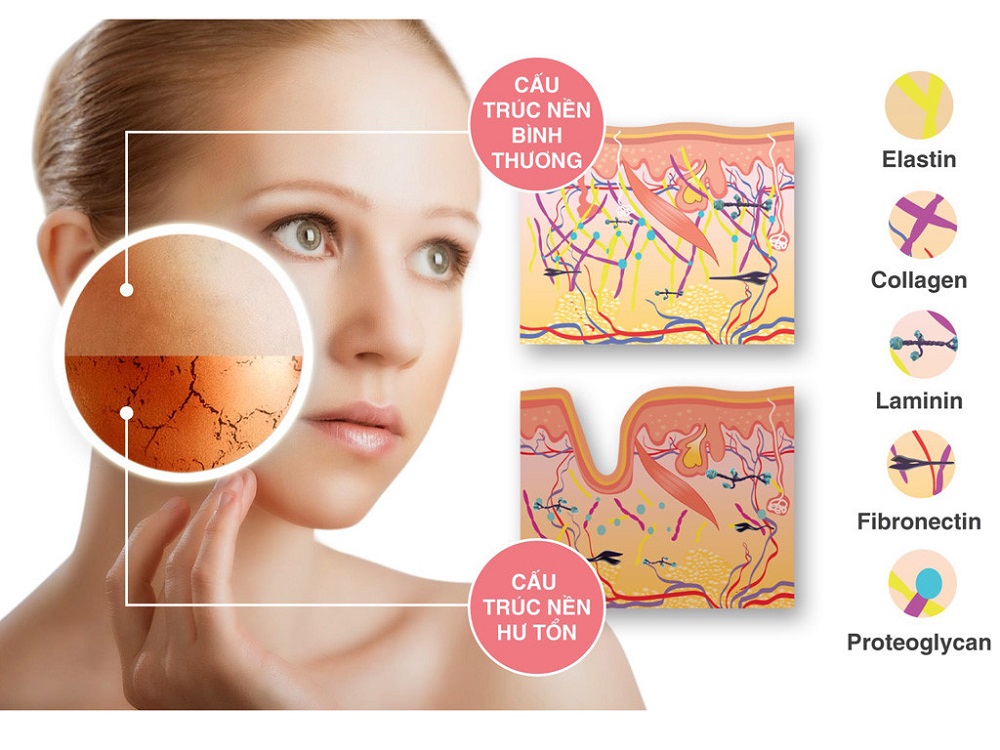 Mua collagen ở đâu là tốt giữa ma trận thực phẩm chức năng 01