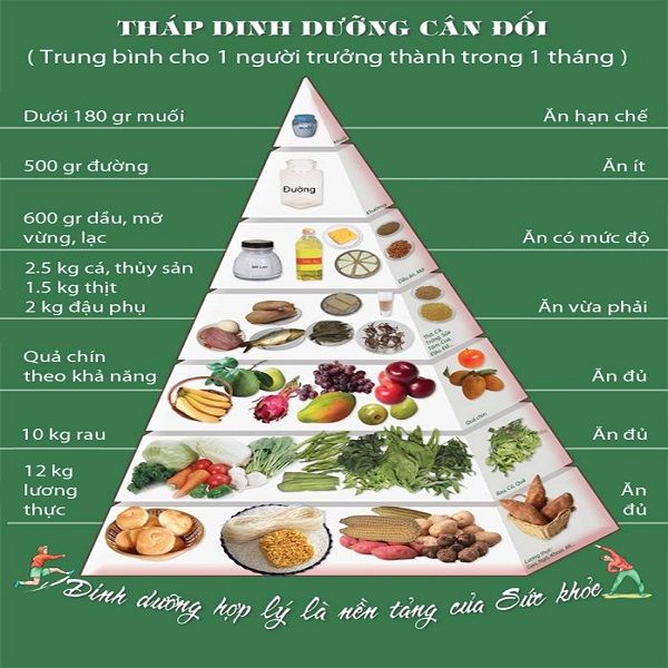 tháp cân bằng dinh dưỡng