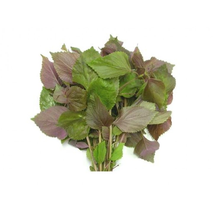 Cách chữa bệnh Gout từ rau tía tô
