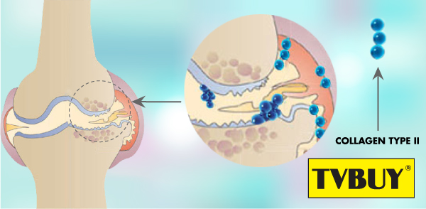 Collagen type II trong sụn khớp 