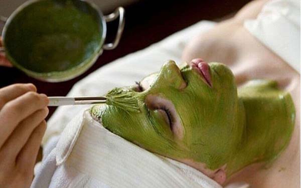 mặt nạ trị nám da từ lá trầu không và mật ong