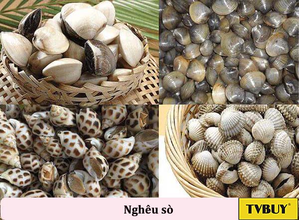 sò nghêu 