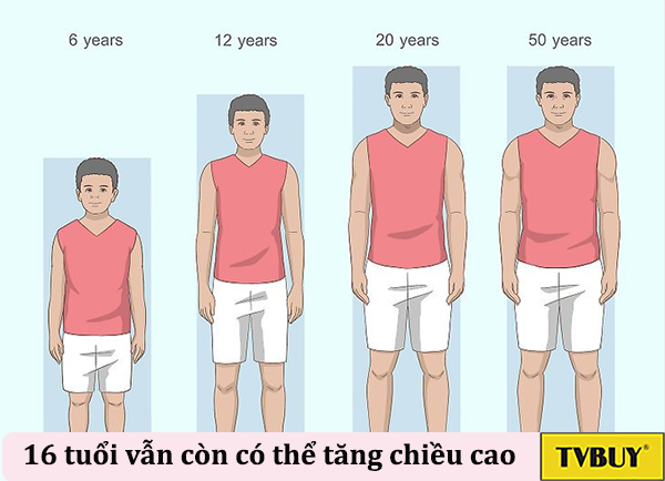 16 tuổi còn cao được không ?