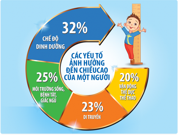 Sự phát triển chiều cao do nhiều yếu tố chi phối